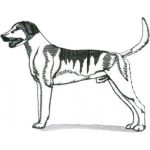 Dog-Dcg318
