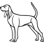 Dog-Dcg326