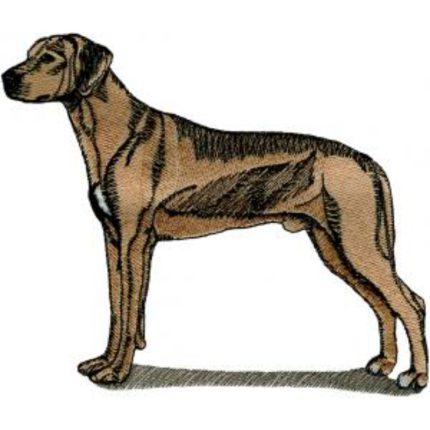 Dog-Dcg352