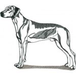 Dog-Dcg354