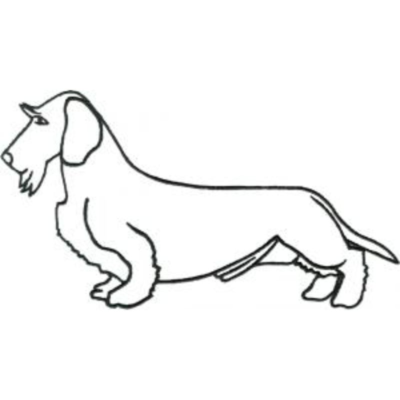 dcg374.jpg Dog-Dcg374 - Image 1