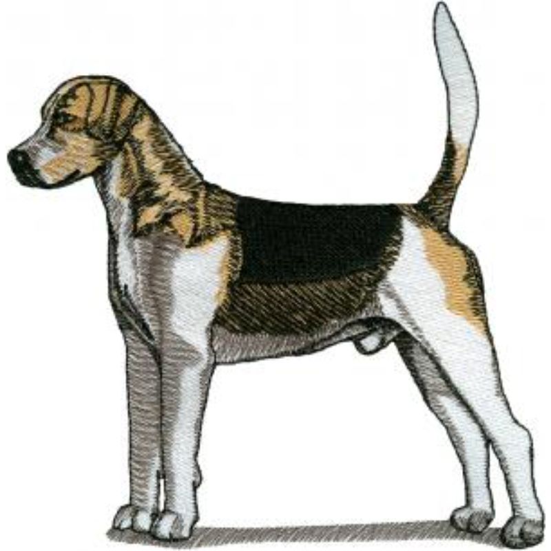 dcg376.jpg Dog-Dcg376 - Image 1