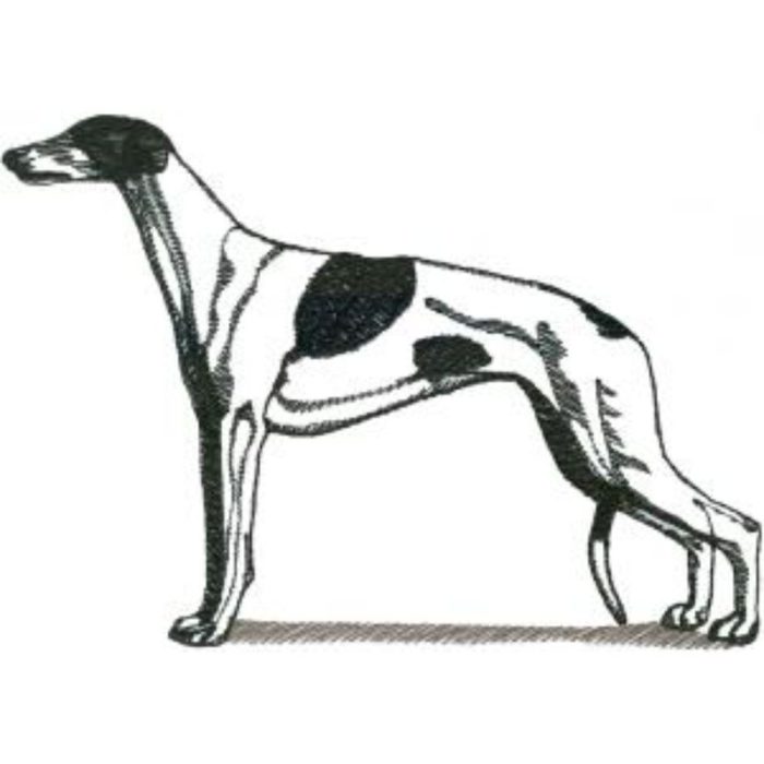 Dog-Dcg384 - Image 1
