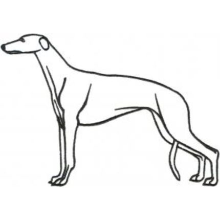 Dog-Dcg386