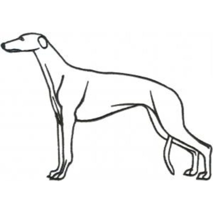 Dog-Dcg386 - Image 1