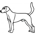 Dog-Dcg392