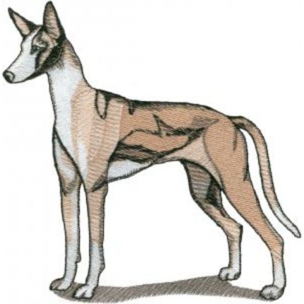 Dog-Dcg394
