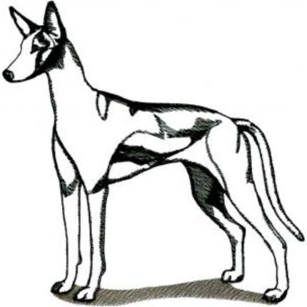 Dog-Dcg396