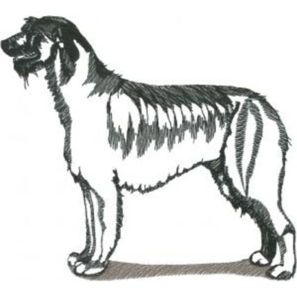 Dog-Dcg402