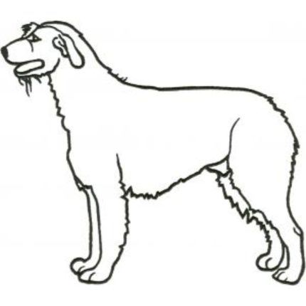 Dog-Dcg404
