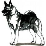 Dog-Dcg408
