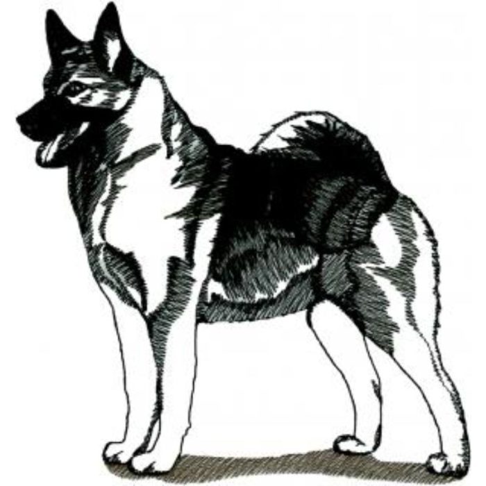 Dog-Dcg408 - Image 1