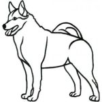 Dog-Dcg410