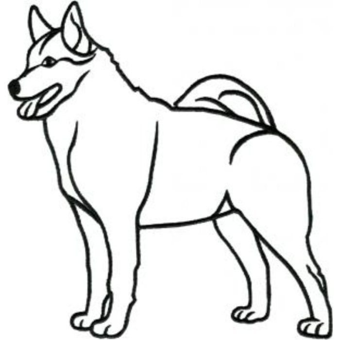 Dog-Dcg410 - Image 1
