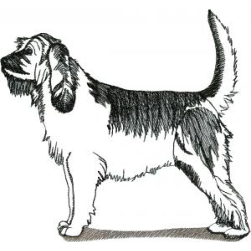 dcg414.jpg Dog-Dcg414 - Image 1