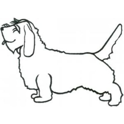 Dog-Dcg422