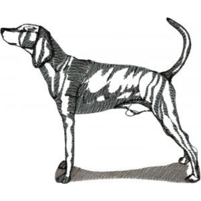 Dog-Dcg426 - Image 1