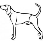 Dog-Dcg428