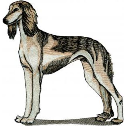 Dog-Dcg430