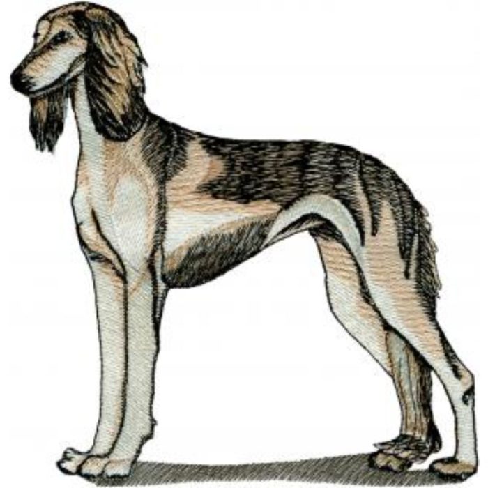 Dog-Dcg430 - Image 1