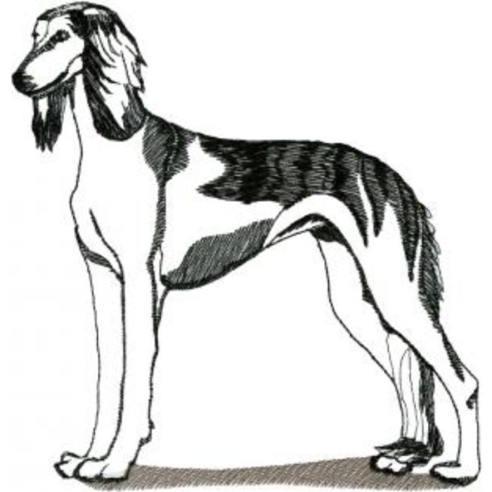 Dog-Dcg432 - Image 1