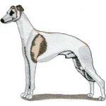 Dog-Dcg442