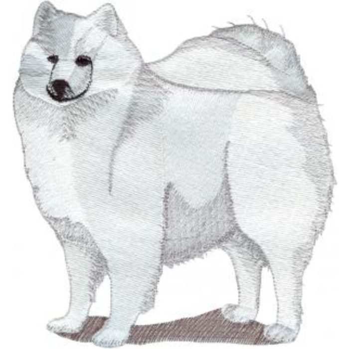 Dog-Dcg448 - Image 1