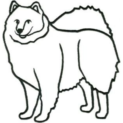 Dog-Dcg452