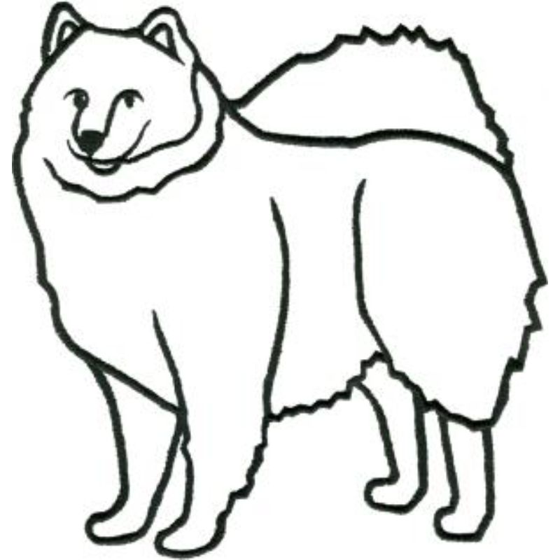 dcg452.jpg Dog-Dcg452 - Image 1