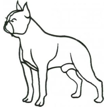 Dog-Dcg464