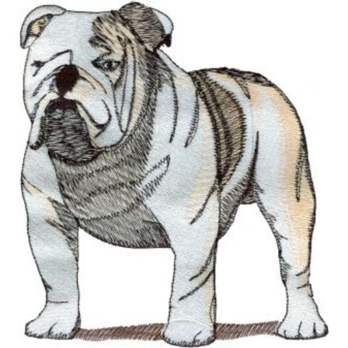 Dog-Dcg466 - Image 1