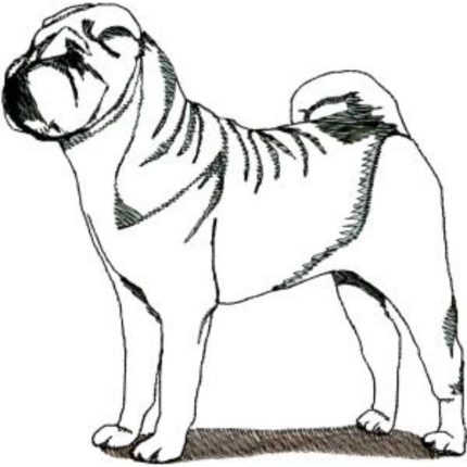 Dog-Dcg474