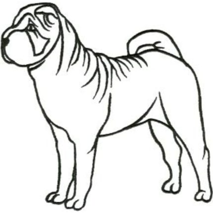 Dog-Dcg476