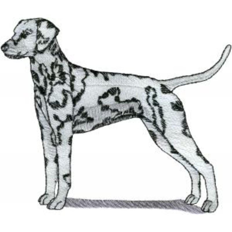 dcg484.jpg Dog-Dcg484 - Image 1