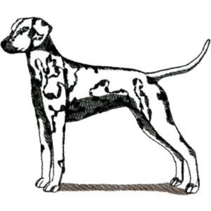 Dog-Dcg486