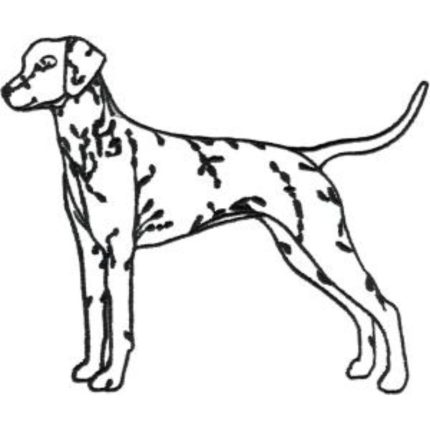 Dog-Dcg488