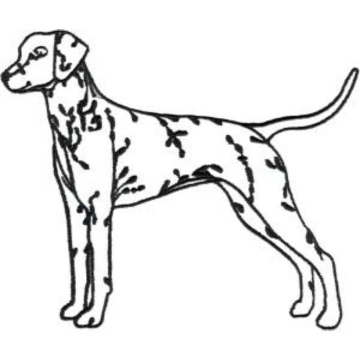 Dog-Dcg488 - Image 1