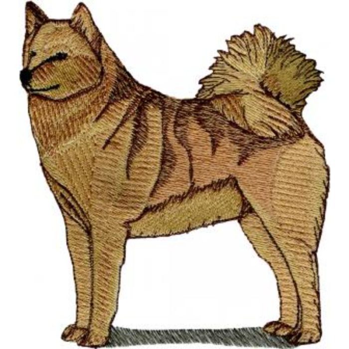Dog-Dcg490 - Image 1