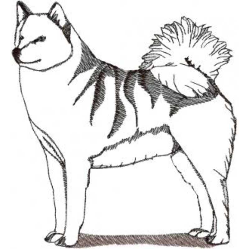 dcg492.jpg Dog-Dcg492 - Image 1