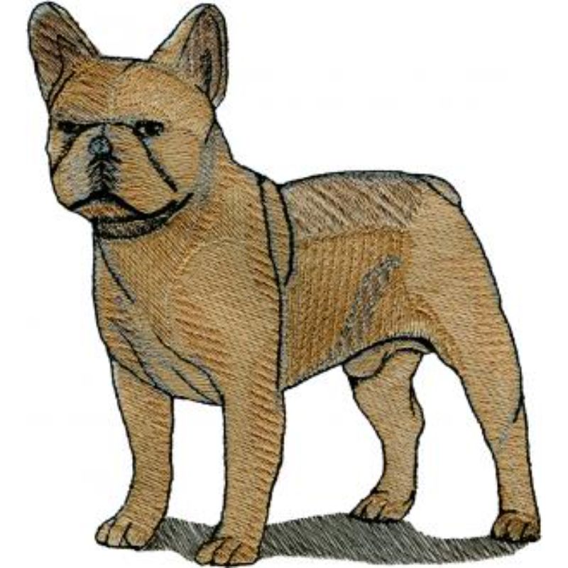 dcg496.jpg Dog-Dcg496 - Image 1