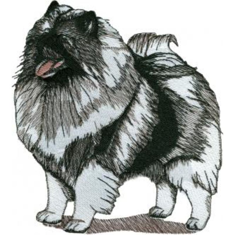 dcg502.jpg Dog-Dcg502 - Image 1