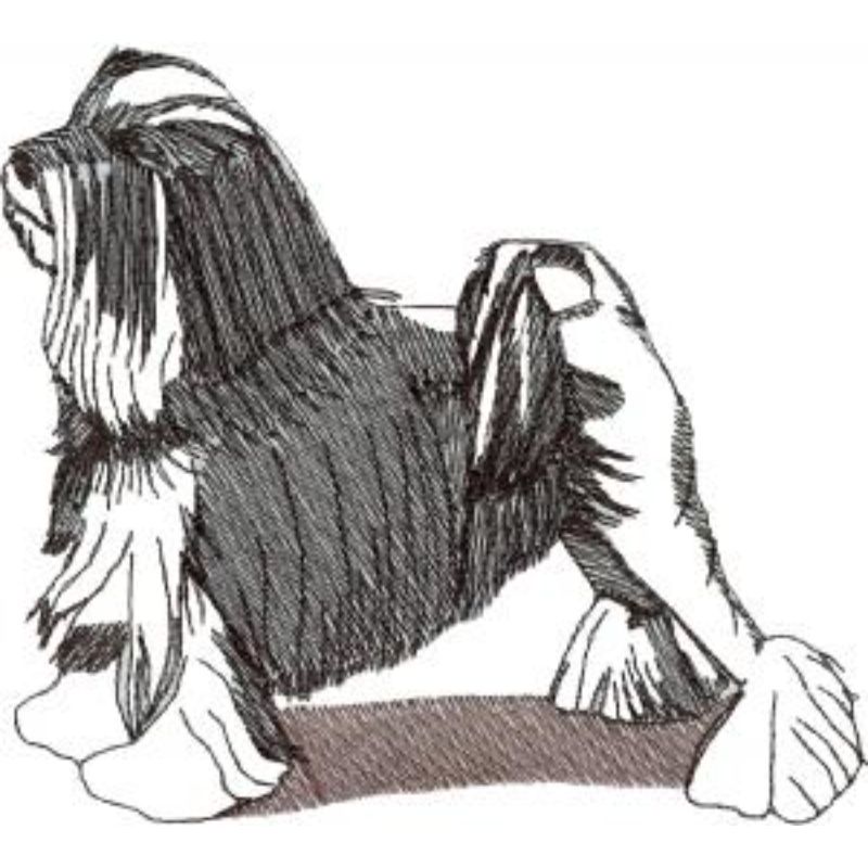 dcg516.jpg Dog-Dcg516 - Image 1