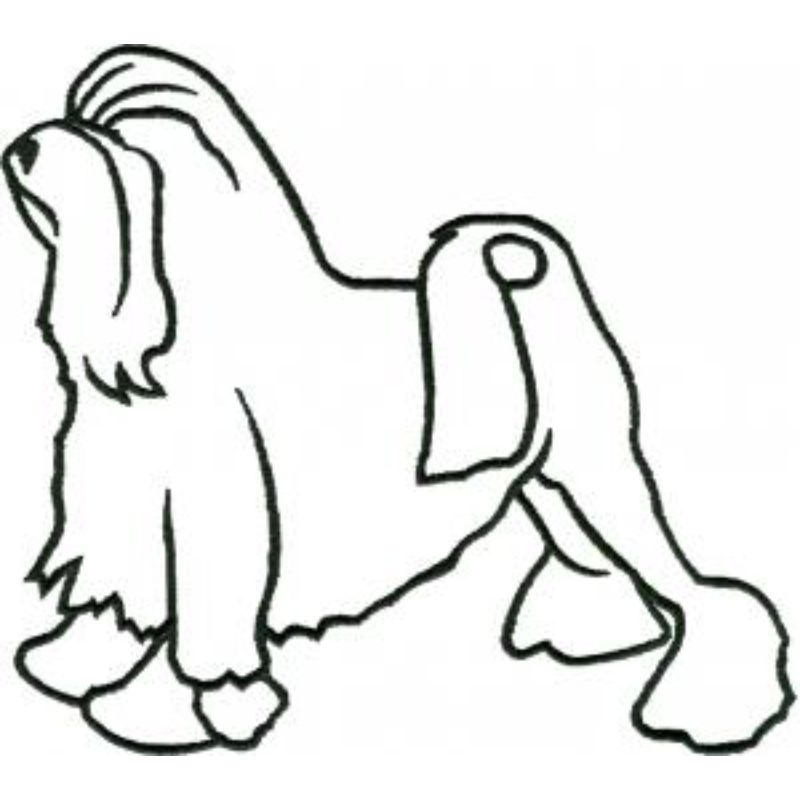 dcg518.jpg Dog-Dcg518 - Image 1