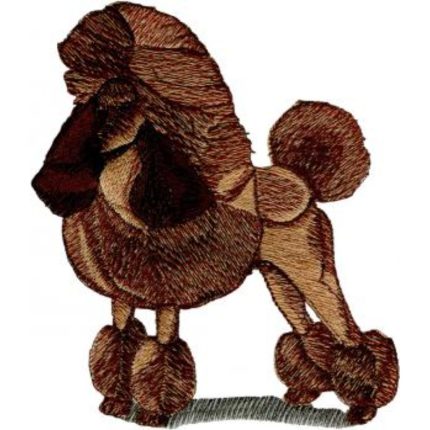 Dog-Dcg526