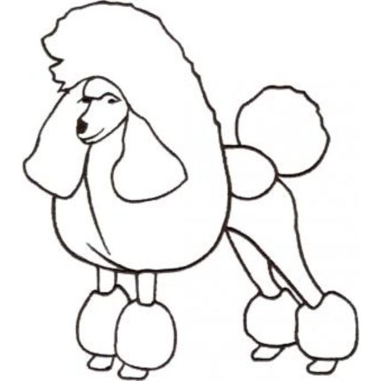 Dog-Dcg530