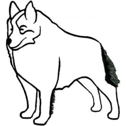 Dog-Dcg532