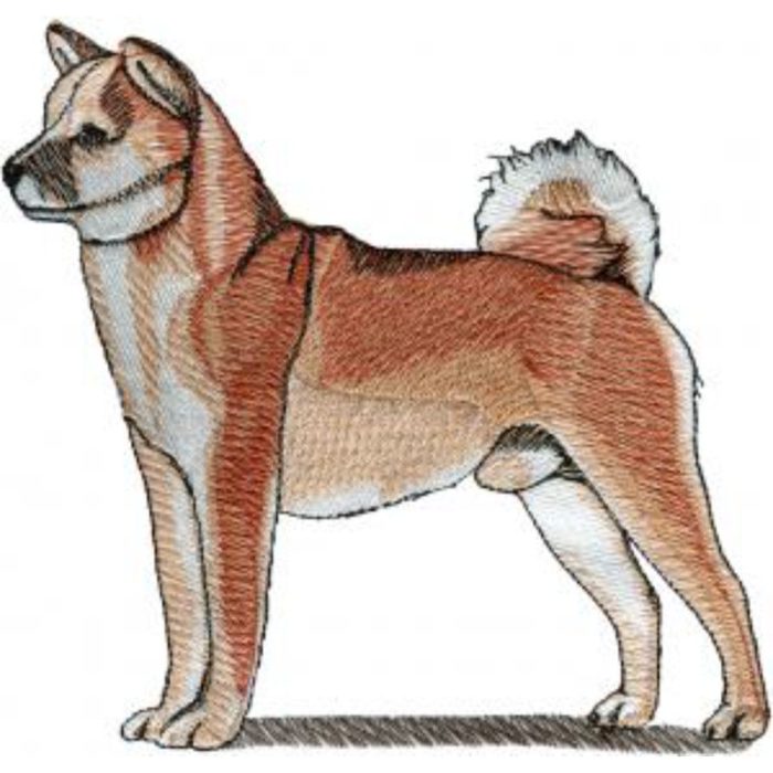 Dog-Dcg538 - Image 1