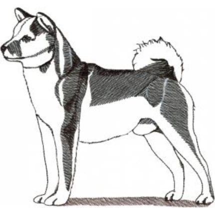 Dog-Dcg540