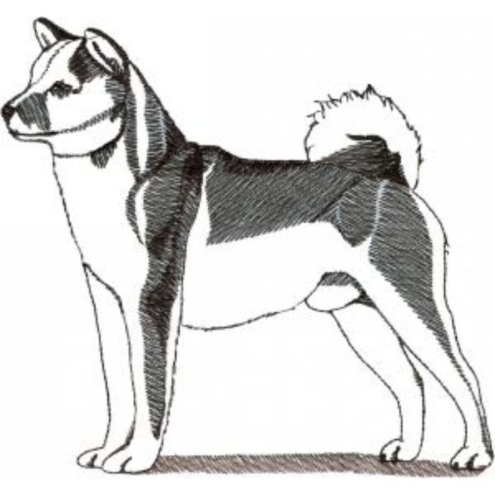 Dog-Dcg540 - Image 1