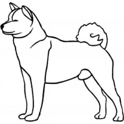 Dog-Dcg542